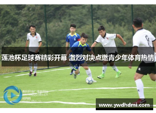 莲池杯足球赛精彩开幕 激烈对决点燃青少年体育热情