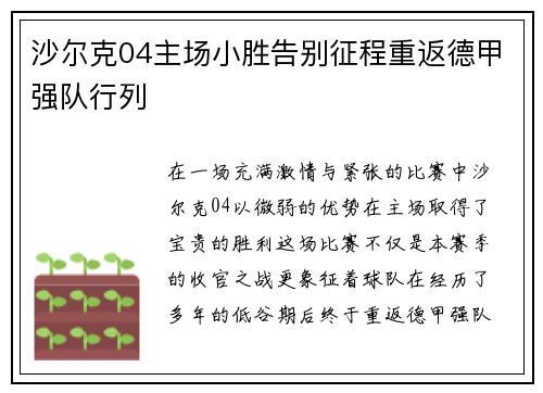 沙尔克04主场小胜告别征程重返德甲强队行列