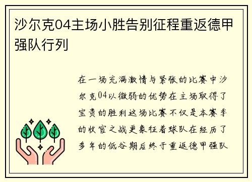 沙尔克04主场小胜告别征程重返德甲强队行列
